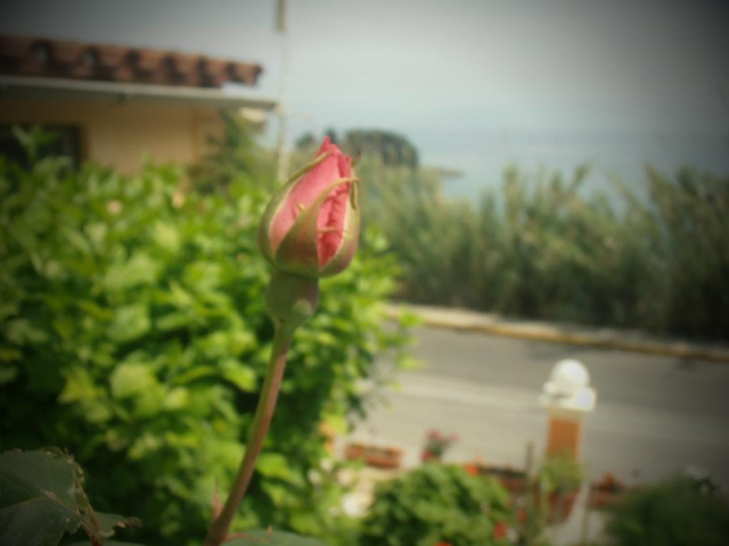 Panorama Daire Perama  Dış mekan fotoğraf